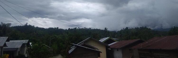 Ngata tupu Taa