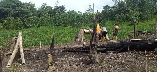 Tinalu raputuda dale