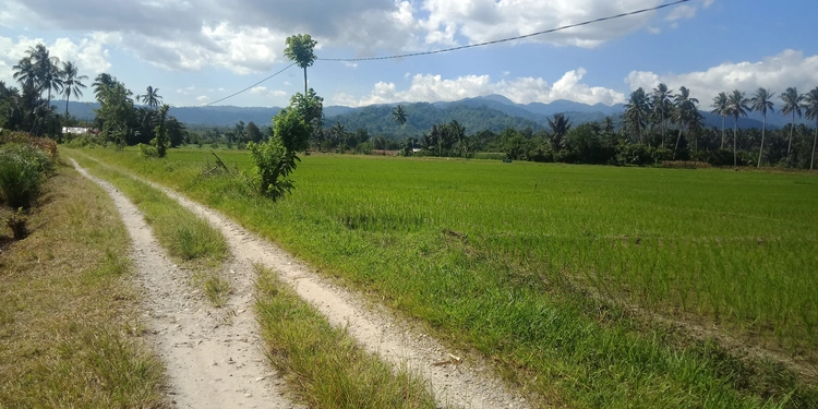 Lida nu tupu Taa ri Sintuwu